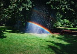 Regenbogen in bewässertem Garten